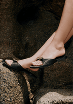 SEASHELL SLIDES IN GOLD TITANIUM BLACK